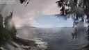 ./images/koeye/fitz-hugh/20260327/fitz-hugh20260327_135501M.jpg