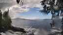 ./images/koeye/fitz-hugh/20260327/fitz-hugh20260327_140501M.jpg