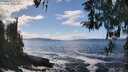 ./images/koeye/fitz-hugh/20260327/fitz-hugh20260327_142501M.jpg