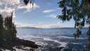 ./images/koeye/fitz-hugh/20260327/fitz-hugh20260327_143001M.jpg