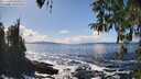 ./images/koeye/fitz-hugh/20260327/fitz-hugh20260327_144501M.jpg