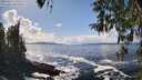 ./images/koeye/fitz-hugh/20260327/fitz-hugh20260327_145501M.jpg