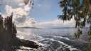./images/koeye/fitz-hugh/20260327/fitz-hugh20260327_151501M.jpg