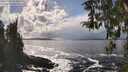 ./images/koeye/fitz-hugh/20260327/fitz-hugh20260327_154501M.jpg