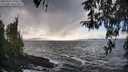 ./images/koeye/fitz-hugh/20260327/fitz-hugh20260327_170501M.jpg