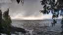 ./images/koeye/fitz-hugh/20260327/fitz-hugh20260327_171002M.jpg