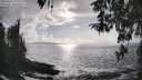 ./images/koeye/fitz-hugh/20260327/fitz-hugh20260327_172001M.jpg