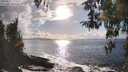 ./images/koeye/fitz-hugh/20260327/fitz-hugh20260327_172501M.jpg