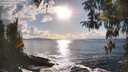 ./images/koeye/fitz-hugh/20260327/fitz-hugh20260327_173001M.jpg