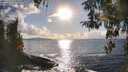 ./images/koeye/fitz-hugh/20260327/fitz-hugh20260327_173501M.jpg