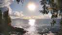 ./images/koeye/fitz-hugh/20260327/fitz-hugh20260327_174002M.jpg