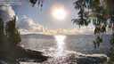 ./images/koeye/fitz-hugh/20260327/fitz-hugh20260327_174501M.jpg