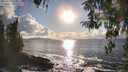 ./images/koeye/fitz-hugh/20260327/fitz-hugh20260327_175001M.jpg