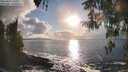 ./images/koeye/fitz-hugh/20260327/fitz-hugh20260327_181001M.jpg