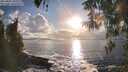 ./images/koeye/fitz-hugh/20260327/fitz-hugh20260327_182001M.jpg