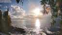 ./images/koeye/fitz-hugh/20260327/fitz-hugh20260327_182502M.jpg