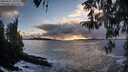 ./images/koeye/fitz-hugh/20260327/fitz-hugh20260327_190001M.jpg