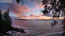 ./images/koeye/fitz-hugh/20260327/fitz-hugh20260327_194502M.jpg