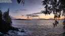 ./images/koeye/fitz-hugh/20260327/fitz-hugh20260327_200502M.jpg
