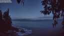 ./images/koeye/fitz-hugh/20260328/fitz-hugh20260328_063502M.jpg