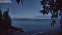 ./images/koeye/fitz-hugh/20260328/fitz-hugh20260328_064002M.jpg