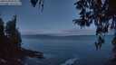 ./images/koeye/fitz-hugh/20260328/fitz-hugh20260328_064501M.jpg