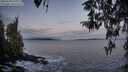 ./images/koeye/fitz-hugh/20260328/fitz-hugh20260328_071002M.jpg