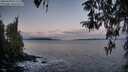 ./images/koeye/fitz-hugh/20260328/fitz-hugh20260328_071501M.jpg