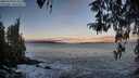 ./images/koeye/fitz-hugh/20260328/fitz-hugh20260328_073501M.jpg