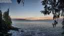 ./images/koeye/fitz-hugh/20260328/fitz-hugh20260328_074001M.jpg