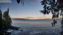 ./images/koeye/fitz-hugh/20260328/fitz-hugh20260328_074501M.jpg