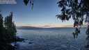 ./images/koeye/fitz-hugh/20260328/fitz-hugh20260328_080501M.jpg