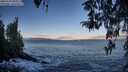./images/koeye/fitz-hugh/20260328/fitz-hugh20260328_081001M.jpg