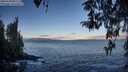 ./images/koeye/fitz-hugh/20260328/fitz-hugh20260328_081501M.jpg