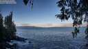 ./images/koeye/fitz-hugh/20260328/fitz-hugh20260328_083001M.jpg