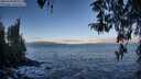 ./images/koeye/fitz-hugh/20260328/fitz-hugh20260328_084002M.jpg