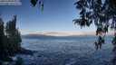 ./images/koeye/fitz-hugh/20260328/fitz-hugh20260328_085001M.jpg