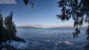 ./images/koeye/fitz-hugh/20260328/fitz-hugh20260328_090501M.jpg