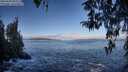 ./images/koeye/fitz-hugh/20260328/fitz-hugh20260328_092501M.jpg