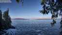 ./images/koeye/fitz-hugh/20260328/fitz-hugh20260328_095002M.jpg