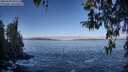 ./images/koeye/fitz-hugh/20260328/fitz-hugh20260328_095501M.jpg