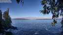 ./images/koeye/fitz-hugh/20260328/fitz-hugh20260328_100501M.jpg