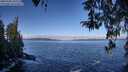 ./images/koeye/fitz-hugh/20260328/fitz-hugh20260328_101501M.jpg