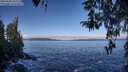 ./images/koeye/fitz-hugh/20260328/fitz-hugh20260328_102001M.jpg