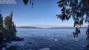 ./images/koeye/fitz-hugh/20260328/fitz-hugh20260328_103001M.jpg