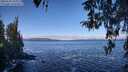 ./images/koeye/fitz-hugh/20260328/fitz-hugh20260328_104001M.jpg