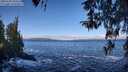 ./images/koeye/fitz-hugh/20260328/fitz-hugh20260328_104501M.jpg