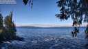 ./images/koeye/fitz-hugh/20260328/fitz-hugh20260328_105001M.jpg