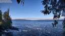./images/koeye/fitz-hugh/20260328/fitz-hugh20260328_105501M.jpg