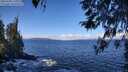 ./images/koeye/fitz-hugh/20260328/fitz-hugh20260328_111001M.jpg